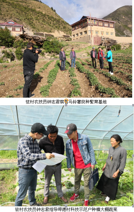 QQ图片20180619111350.png