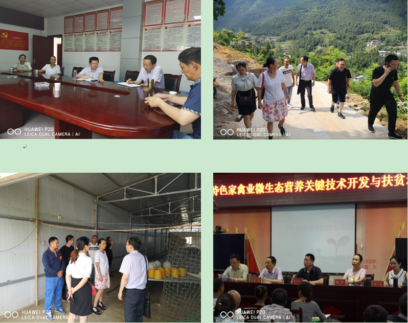 QQ图片20190621095143.png