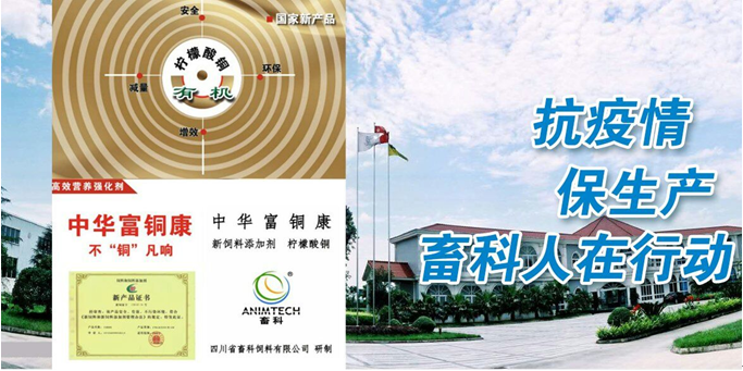 QQ图片20200226090915.png