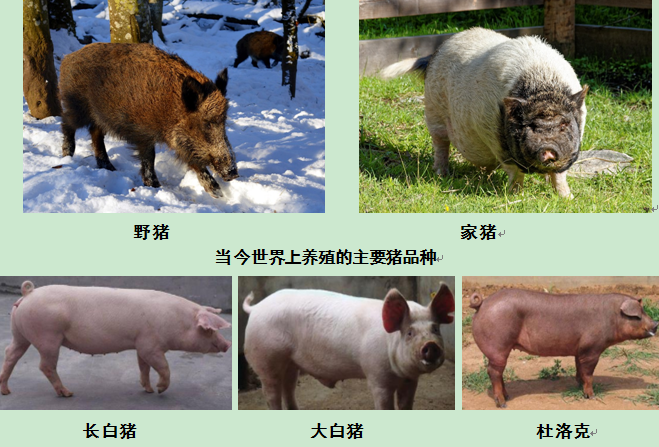 QQ图片20200826160835.png