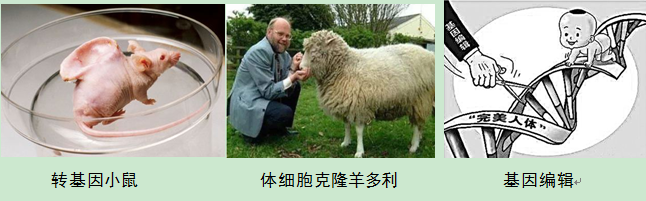 QQ图片20200826160902.png