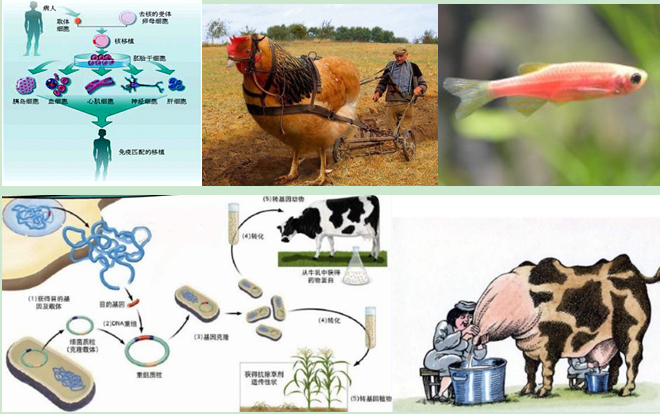 QQ图片20200826160923.png