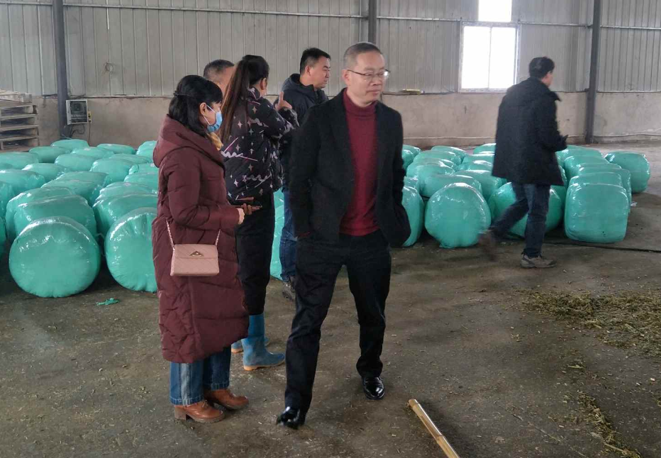 QQ图片20210119152920.png